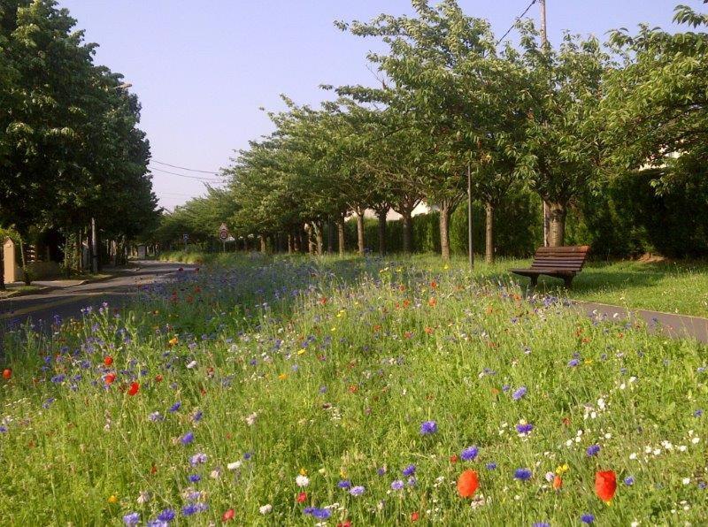 Appart Hotel Studihotel Palaiseau Plateau Saclay Exteriör bild