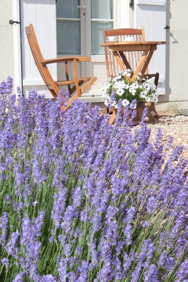 Appart Hotel Studihotel Palaiseau Plateau Saclay Exteriör bild
